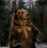 Слава_Бурый